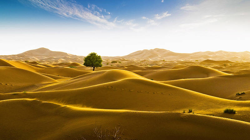 阿曼边界的鲁卜哈利沙漠