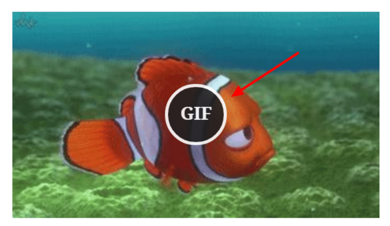 如何在WordPress网站合理地使用GIF动画图片