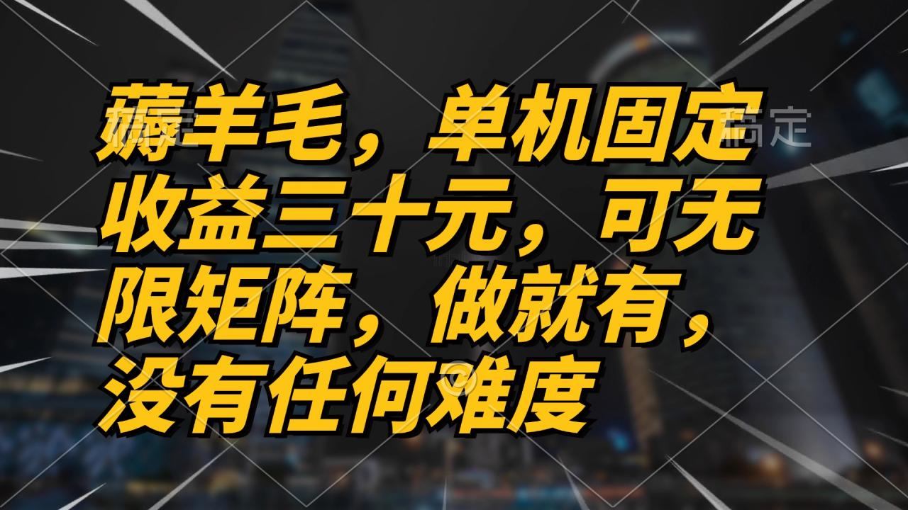 （13162期）薅羊毛项目，单机三十元，做就有，可无限矩阵 无任何难度-星仔副业