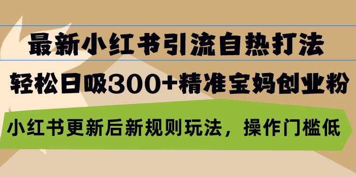 （13145期）最新小红书引流自热打法，轻松日吸300+精准宝妈创业粉，小红书更新后新...-星仔副业