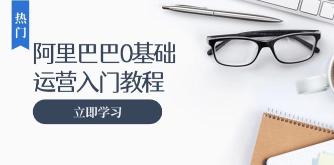 （13291期）阿里巴巴运营零基础入门教程：涵盖开店、运营、推广，快速成为电商高手-星仔副业