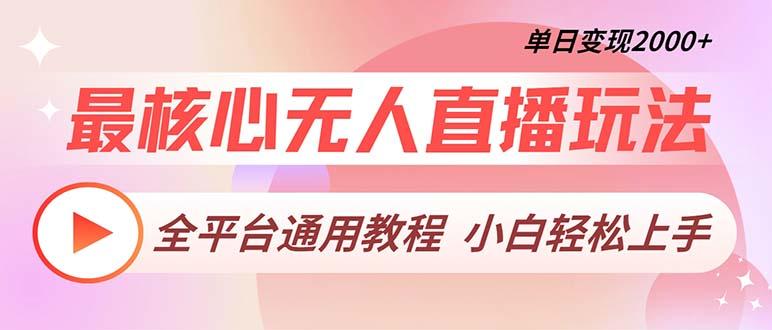 （13221期）最核心无人直播玩法，全平台通用教程，单日变现2000+-星仔副业