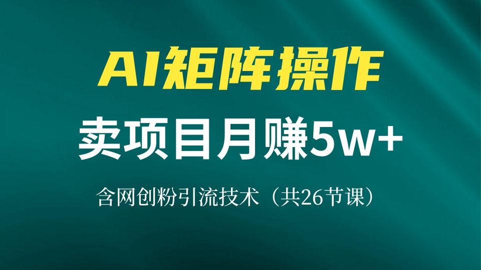 （13335期）网创IP打造出课，依靠AI卖项目月赚5万 ，含引流技术（共26堂课）-星仔副业