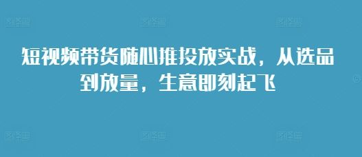 短视频带货随心推投放实战，从选品到放量，生意即刻起飞-星仔副业