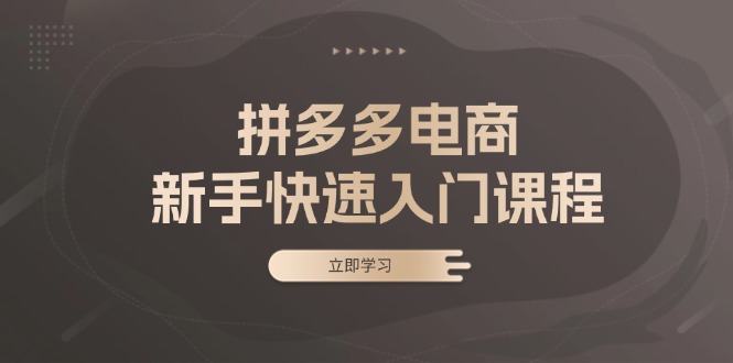 （13289期）拼多多电商新手快速入门课程：涵盖基础、实战与选款，助力小白轻松上手-星仔副业