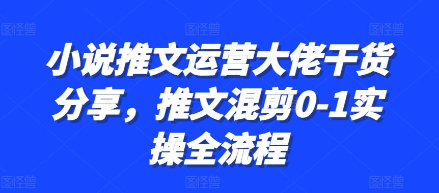 小说推文经营巨头满满干货，文章剪辑0-1实际操作全过程-星仔副业