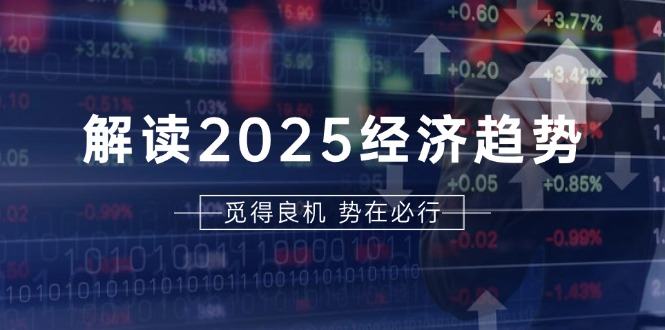 （13463期）解读2025经济趋势、美股、A港股等资产前景判断，助您抢先布局未来投资-星仔副业