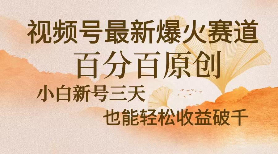 （13225期）视频号最新爆火赛道，中老年粉深信不疑，百分百原创，新号三天收益轻松...-星仔副业