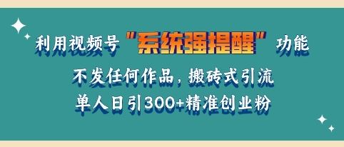 利用微信视频号系统提醒功能，引流精准创业粉，无需发布任何作品，单人单日引流300+创业粉-星仔副业