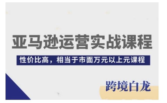 亚马逊运营实战课程，亚马逊从入门到精通，性价比高，相当于市面万元以上元课程-星仔副业