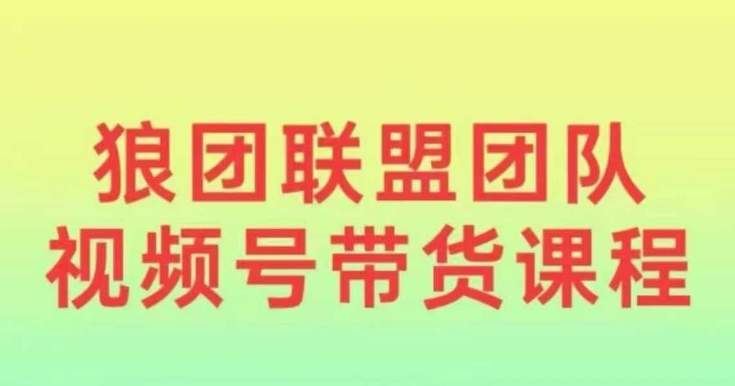 狼团联盟2024视频号带货，0基础小白快速入局视频号-星仔副业