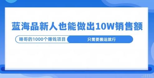 这个蓝海品，新号也能卖出10W的销售额，年底疯狂怼量就能出结果-星仔副业