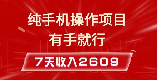 纯手机操作的小项目，有手就能做，7天收入2609+实操教程【揭秘】-星仔副业