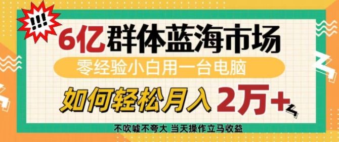 6亿群体蓝海市场，零经验小白用一台电脑，如何轻松月入过w【揭秘】-星仔副业