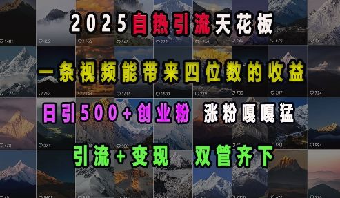 2025自热引流天花板，一条视频能带来四位数的收益，引流+变现双管齐下，日引500+创业粉，涨粉嘎嘎猛-星仔副业