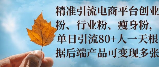 小投资撬动大收益，精准引流创业粉、行业粉，单日引流80+，一天可变现多张-星仔副业