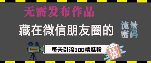 藏在微信朋友圈的流量密码，无需发布作品，单日引流100+精准创业粉【揭秘】-星仔副业