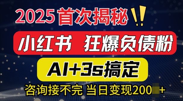 2025引流方法吊顶天花板：全新小红书的狂怒债务粉构思，资询接持续，当日入好几张-星仔副业