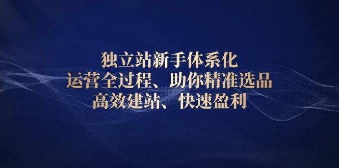 独立站新手体系化 运营全过程，助你精准选品、高效建站、快速盈利-星仔副业