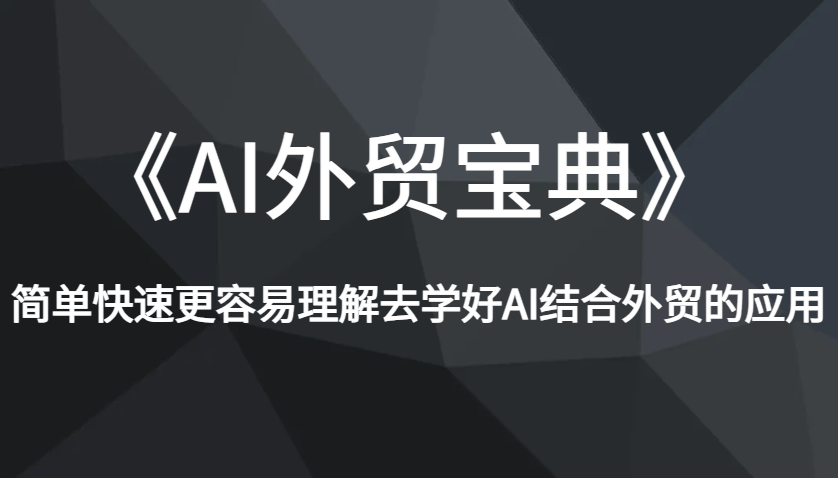 《AI外贸宝典》简单快速更容易理解去学好AI结合外贸的应用-星仔副业